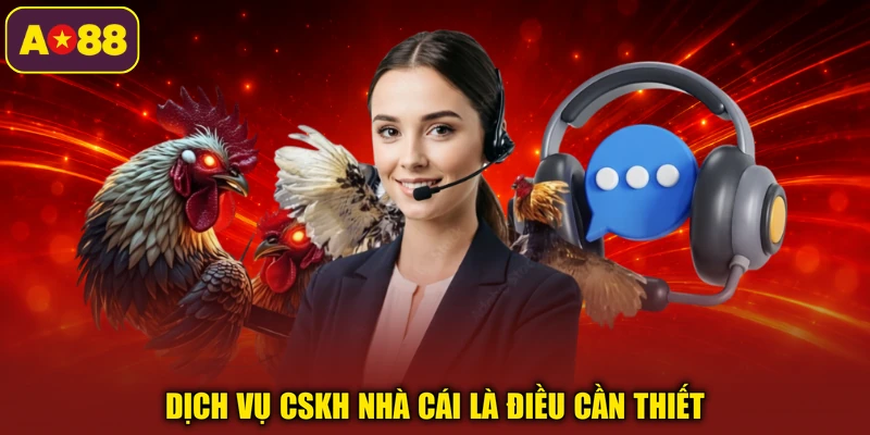 Dịch vụ CSKH nhà cái là điều cần thiết