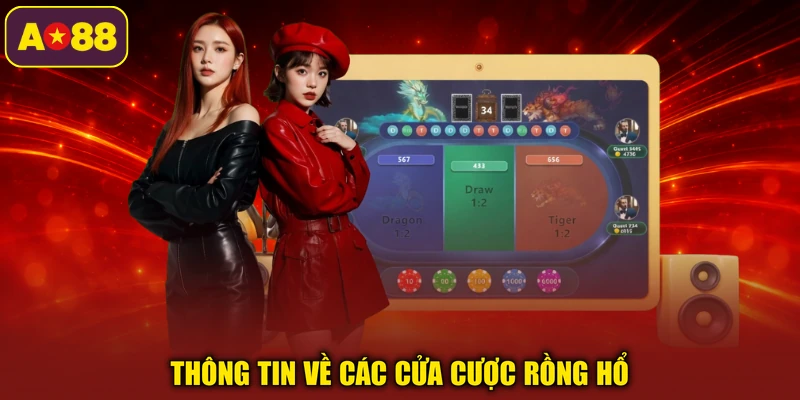 Thông tin về các cửa cược rồng hổ